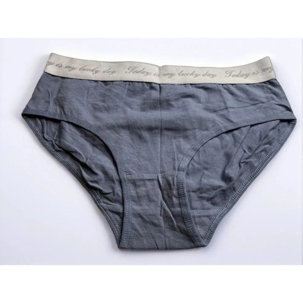 New Bikini Brief Today is Your Lucky Day Small Panties Underwear NWOT Blue Grey